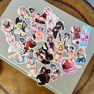 NWT 30 anime stickers